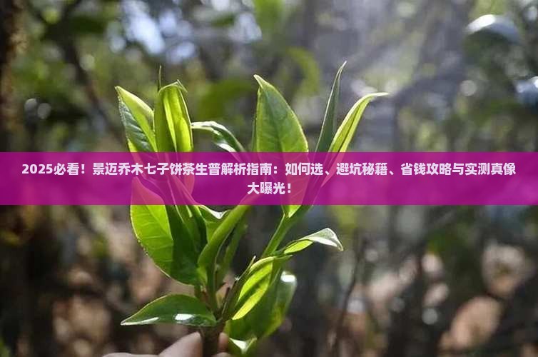 景迈乔木七子饼茶生普