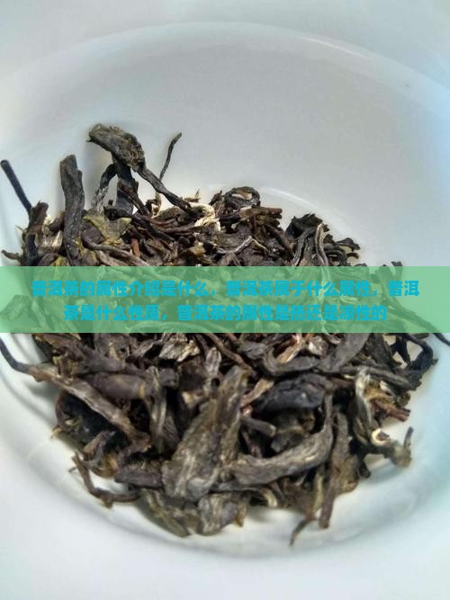 普洱茶的属性介绍是什么 普洱茶的属性介绍是什么
