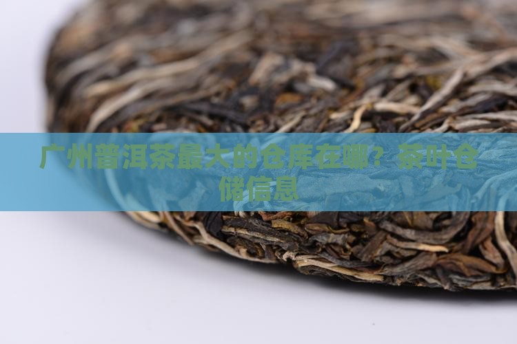 广州普洱茶最大的仓库在哪