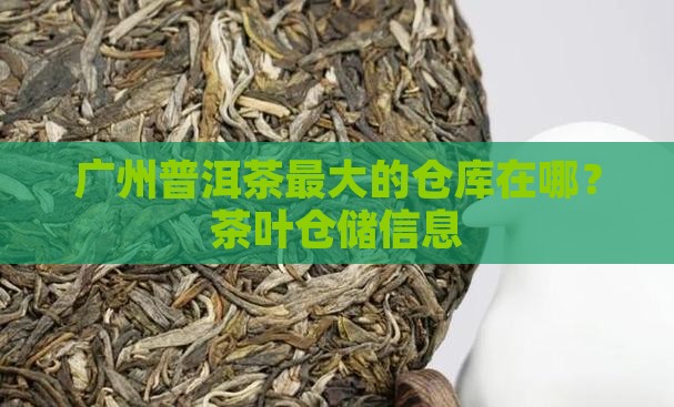 广州普洱茶最大的仓库在哪