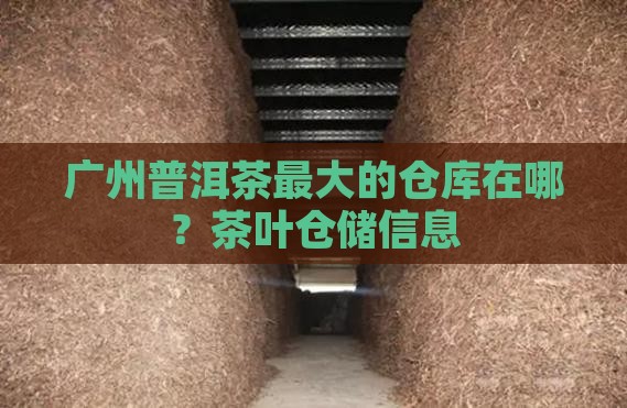 广州普洱茶最大的仓库在哪