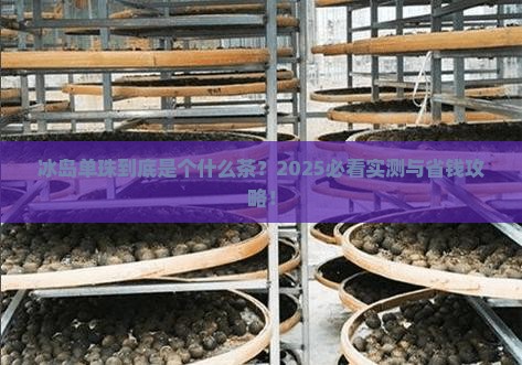 冰岛单珠是什么茶 冰岛单珠是什么茶