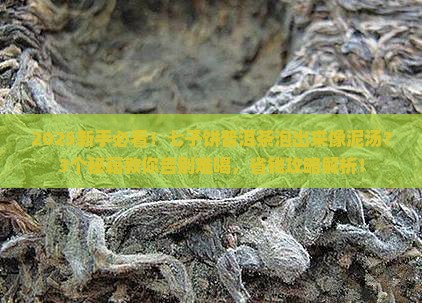 七子饼普洱茶泡出来