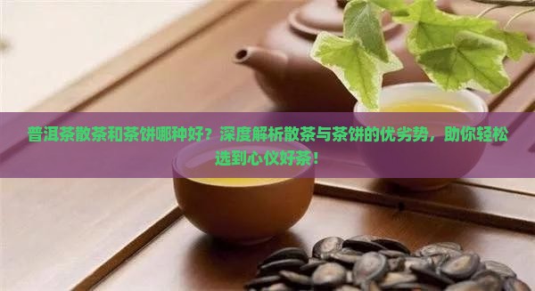 普洱茶散茶和茶饼哪种好