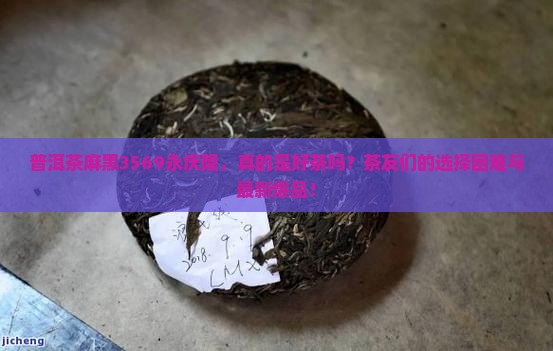 普洱茶麻黑3569永庆隆