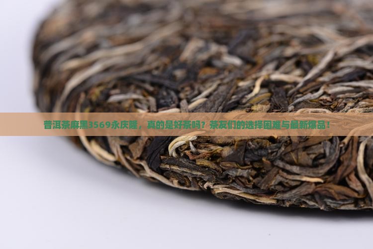 普洱茶麻黑3569永庆隆