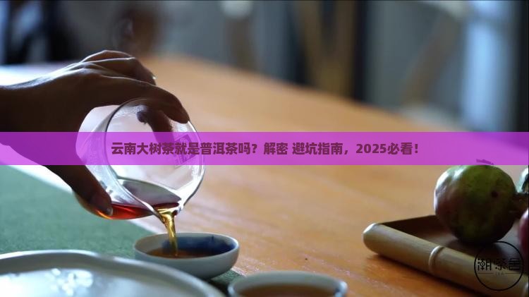 云南大树茶就是普洱茶吗