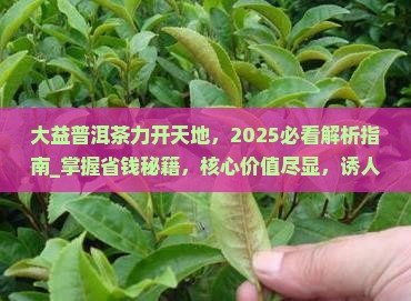 大益普洱茶力开天地