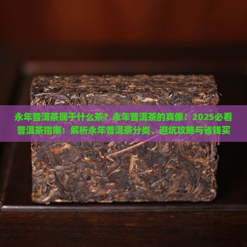 永年普洱茶属于什么茶