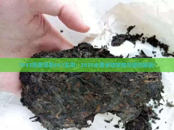 7592熟普洱茶601