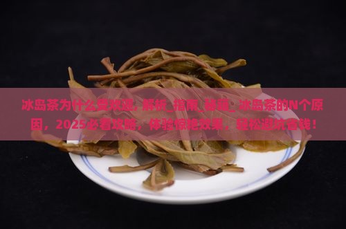 冰岛茶为什么受欢迎