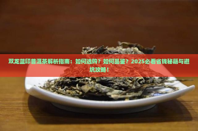 双龙蓝印普洱茶
