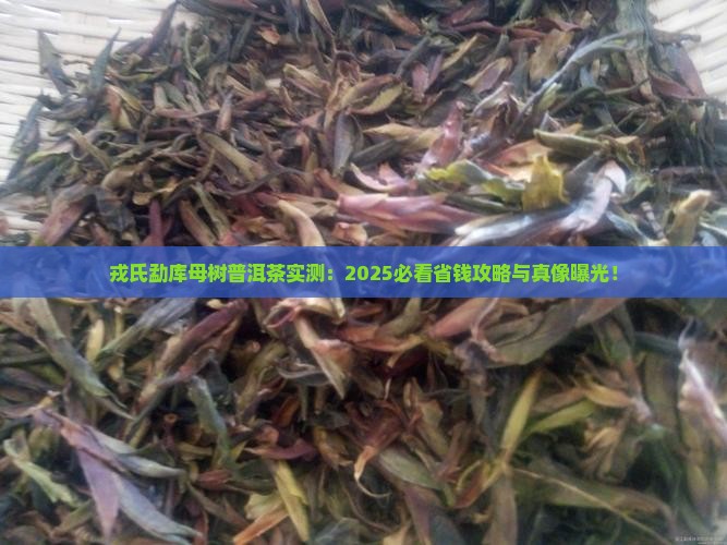 戎氏勐库母树普洱茶