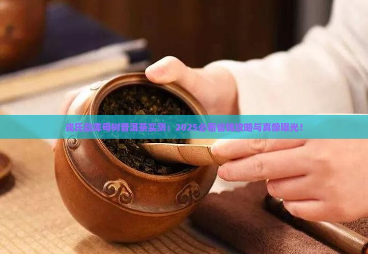 戎氏勐库母树普洱茶