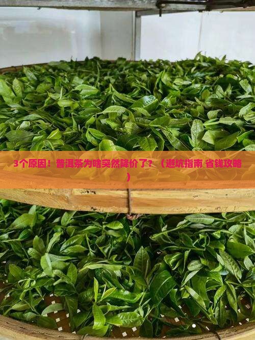 普洱茶为什么会降价