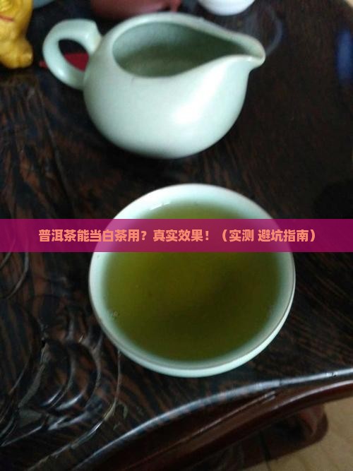 可以用普洱茶做白茶吗