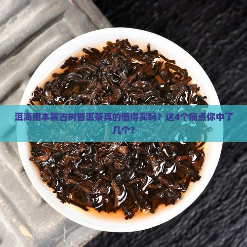 洱海南本寨古树普洱茶