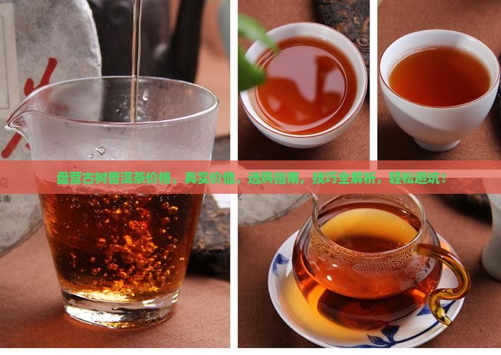 盘营古树普洱茶价格