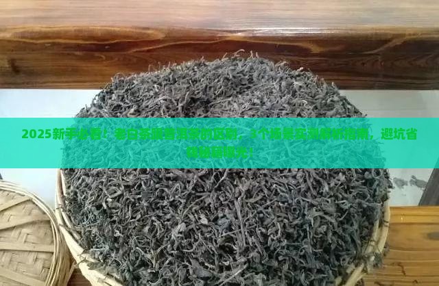 老白茶跟普洱茶的区别