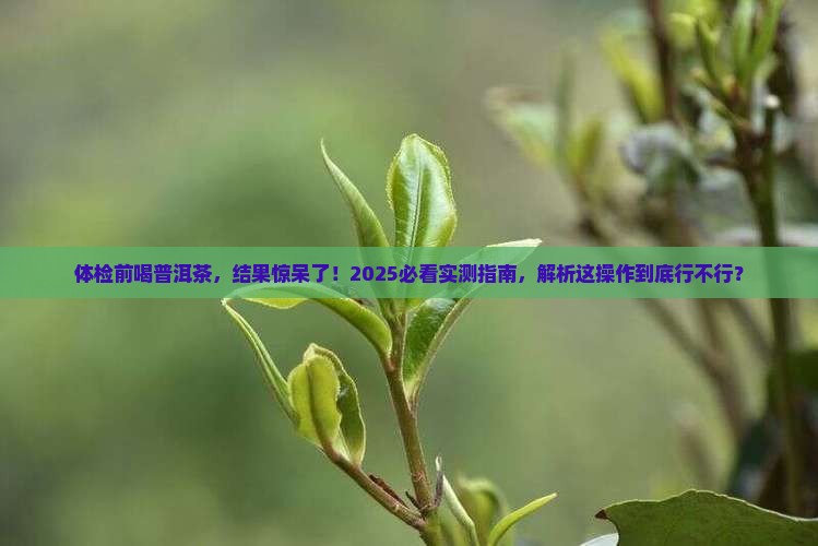 体检早上喝了一杯普洱茶