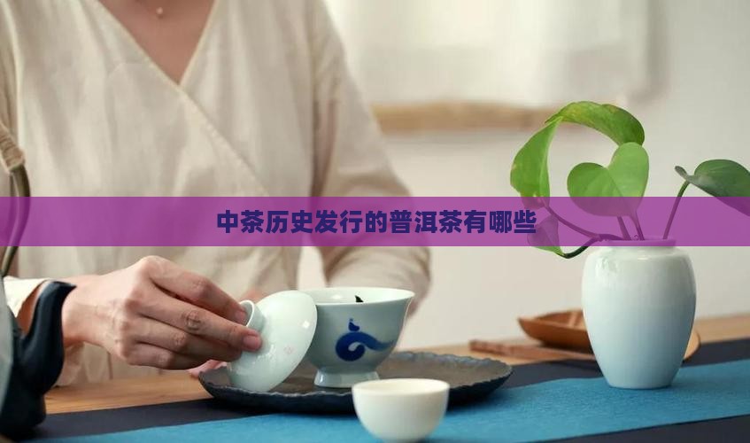 中茶历史发行的普洱茶有哪些