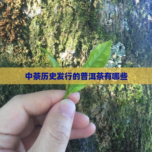 中茶历史发行的普洱茶有哪些