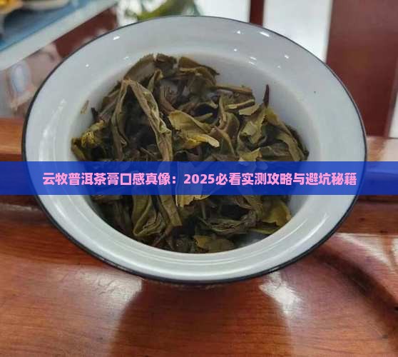 云牧普洱茶膏口感特点