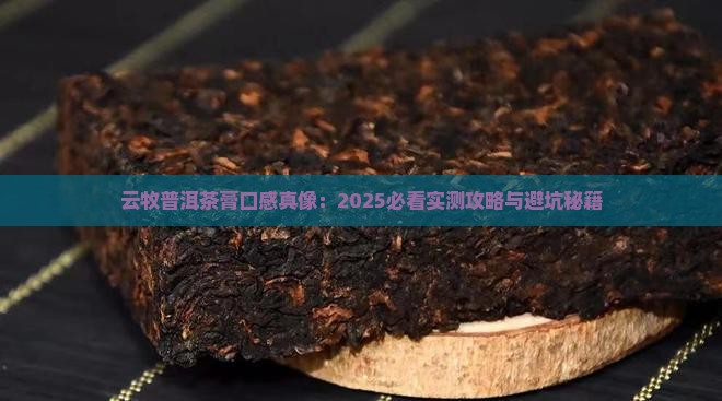 云牧普洱茶膏口感特点