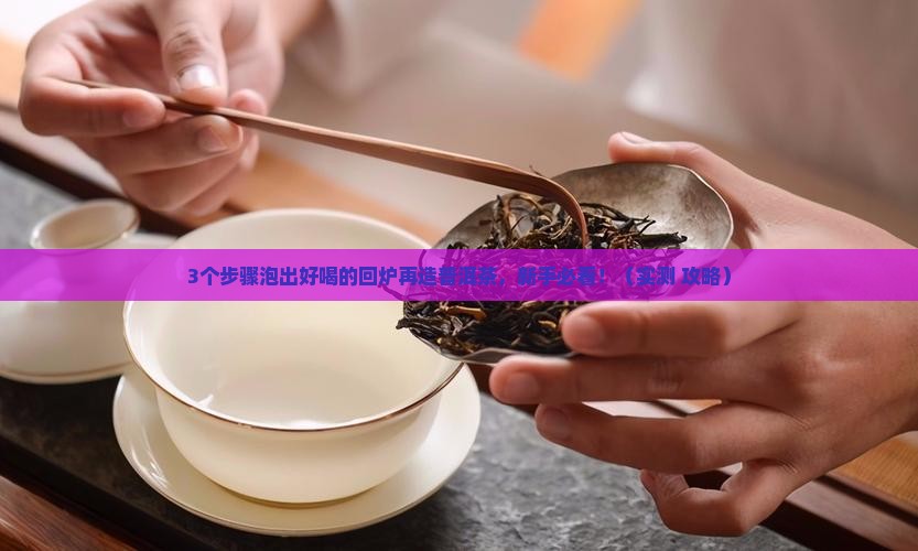 回炉再造普洱茶怎么泡好喝