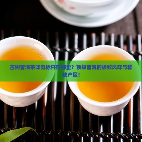 古树普洱茶味觉标杆在哪里