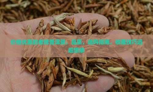价格优惠的老牌普洱茶