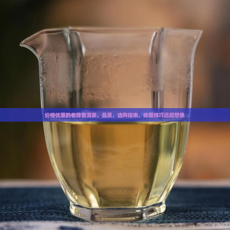 价格优惠的老牌普洱茶