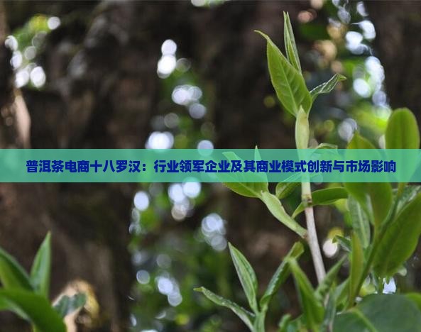 普洱茶电商十八罗汉