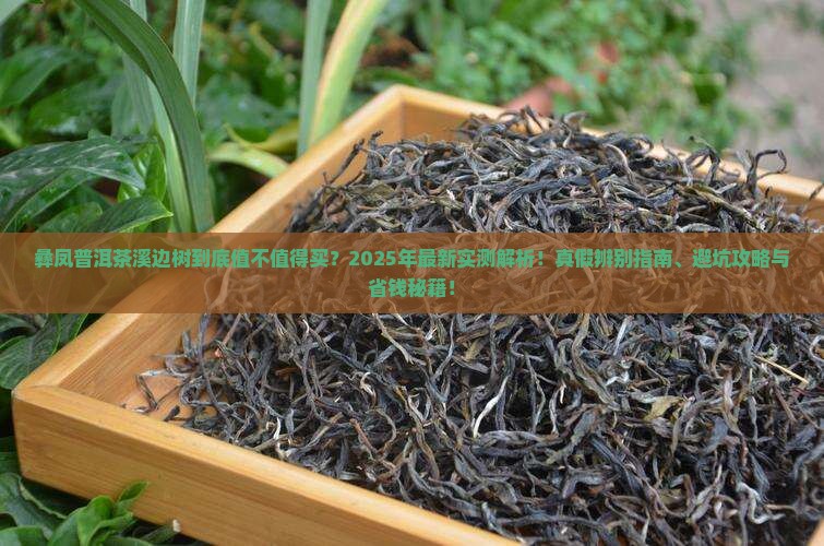 彝凤普洱茶溪边树