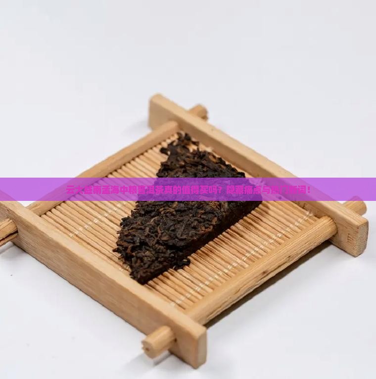 云大益南孟海中粮普洱茶