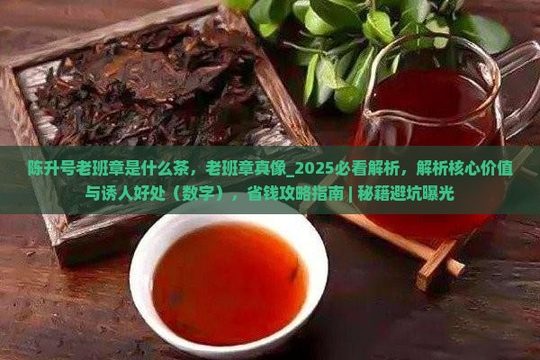 陈升号老班章是什么茶