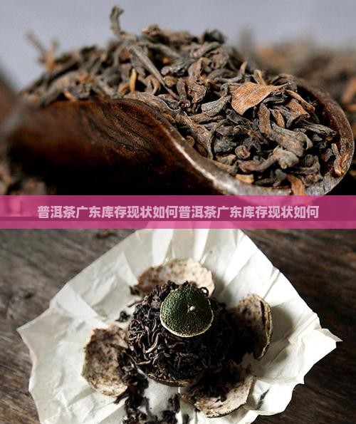 普洱茶广东库存现状如何