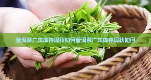 普洱茶广东库存现状如何