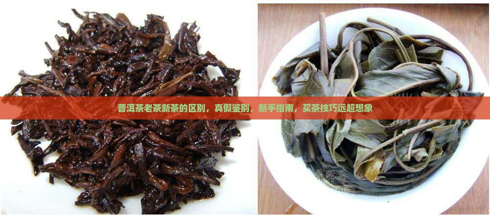 普洱茶老茶新茶的区别