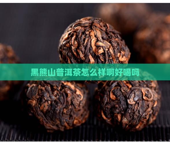 黑熊山普洱茶怎么样啊好喝吗