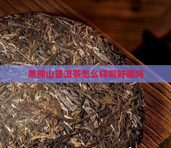 黑熊山普洱茶怎么样啊好喝吗