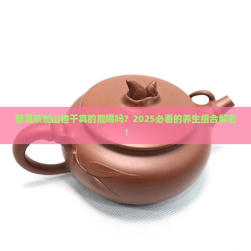 普洱茶加山楂干