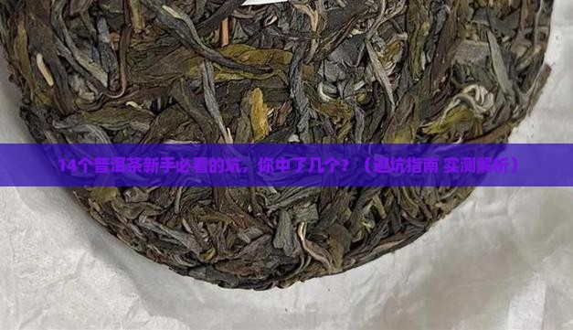 普洱茶14个基本常识