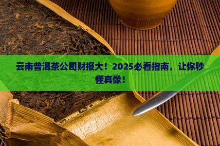 云南普洱茶有限公司财报