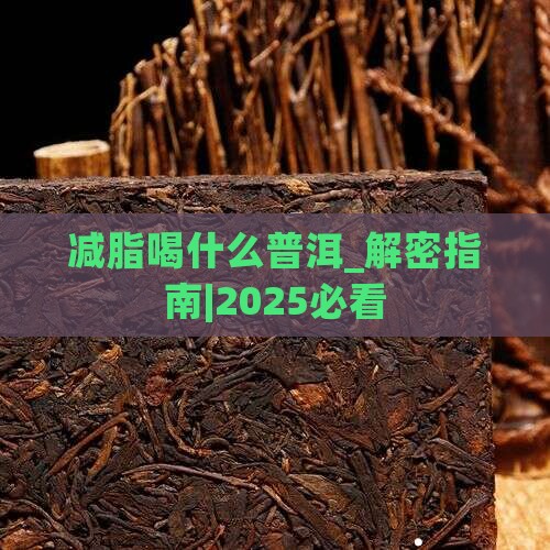 减脂喝什么普洱