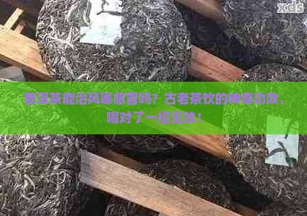 普洱茶能治风寒感冒吗