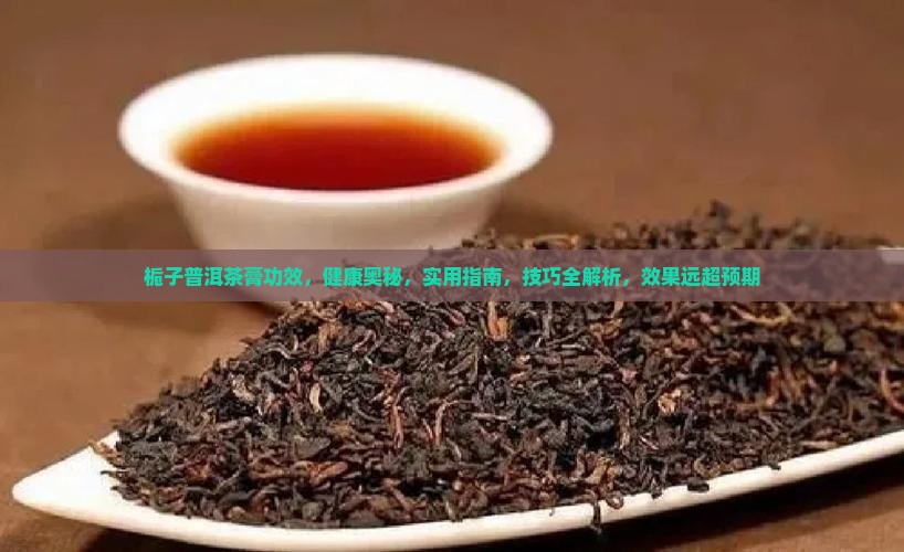栀子普洱茶膏功效