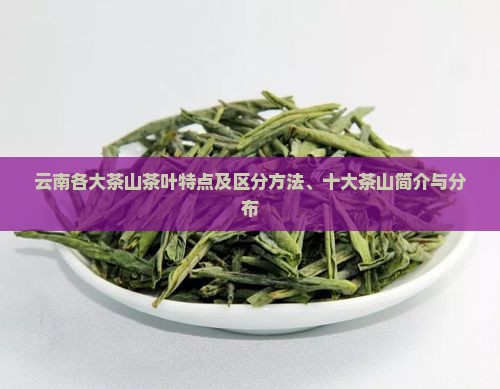 云南各大茶山茶叶特点