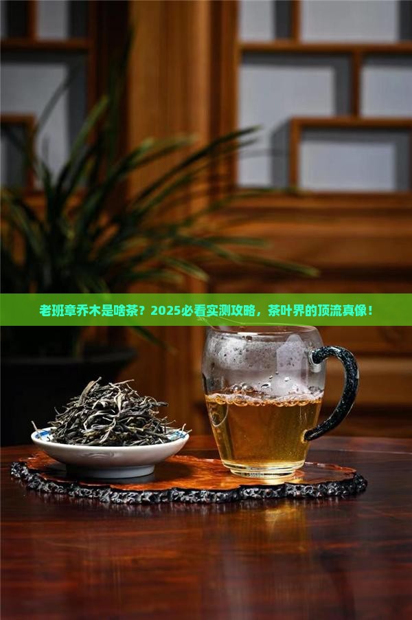 老班章乔木是什么茶