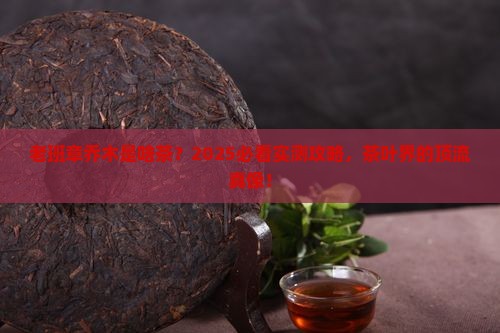 老班章乔木是什么茶